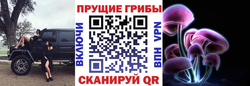 Псилоцибиновые грибы GOLDEN TEACHER  Купить где  Черкесск 